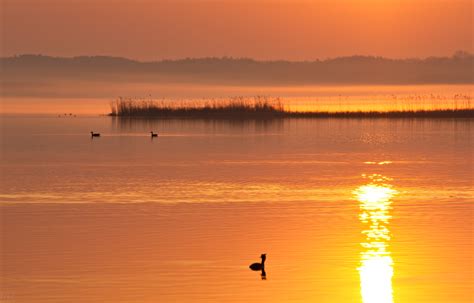 goldener schnitt foto bild nature outdoor wasser bilder auf