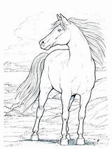 Coloring Horse Pages Galloping Morgan Printable Getcolorings Mustang Race Unique sketch template