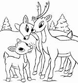 Reindeer Coloring Pages Deer Santa His Tailed Color Head Getcolorings Printable Whitetail Getdrawings Colorings sketch template