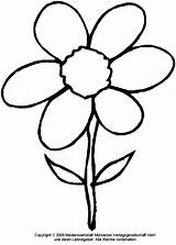 Schablone Blume Ausdrucken Schablonen Medienwerkstatt Vorlagen Muster Schmetterling Malvorlagen Lws sketch template