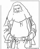 Hagrid Potter Harry Coloring Pages Rubeus Drawing Giant Malfoy Draco Printable Movie Half Popular Book Info Gif Coloringhome sketch template