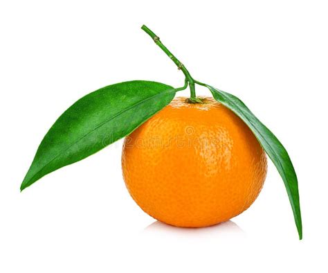 Ripe Mandarin With Leaf Close Up On A White Background Tangerine