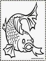Ikan Mewarnai Coloring Gambar sketch template