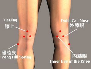 knee pain points acupuncture acupuntura pinterest knee pain