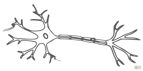 ausmalbild vintage neuron ausmalbilder kostenlos zum ausdrucken
