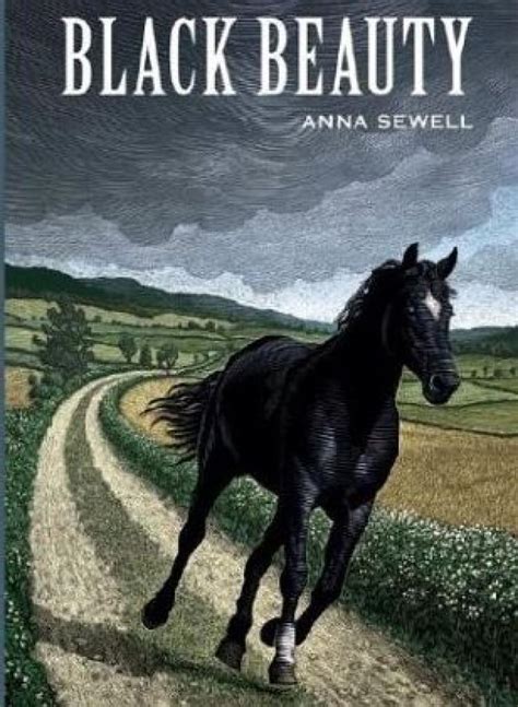 black beauty by anna sewell 13 successful first novels by female