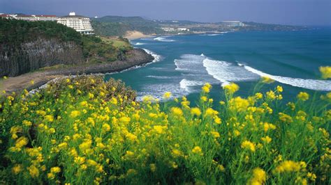 top attractions  jeju island south korea   visit