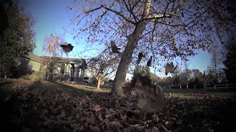 drone leaf blower  slow motion  youtube