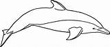Dolphin Dolphins Delfiny Kolorowanki Disegno Detaillierte Dettagliato Malowanki Kolorowanka Wydruku Delfin Dauphins Mimi Tro Coloriages Bottlenose Coloringtop sketch template