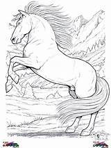 Coloring Horse Pages Rearing Horses Printable Color Para Colorir Colouring Drawing Animals Easy Print Desenhos Cavalos Pferde Getdrawings Kids Silhouette sketch template