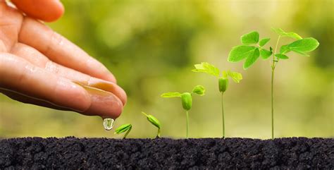 planting  seed  funding options     startup   ground