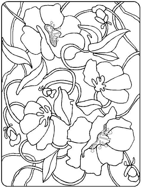 remembrance  coloring pages coloring book  coloring pages
