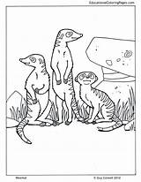 Meerkat Pi Colouring Tegninger Malebøger Tegn Kager Dyr Skole Educationalcoloringpages Zoo sketch template