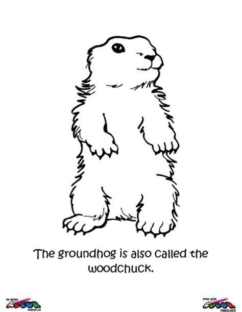 groundhog day printable coloring pages