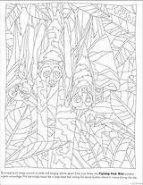 Coloring Camouflage Printable Pages Getcolorings Print Color sketch template
