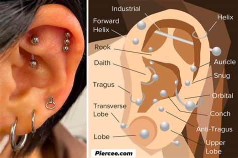 Your Guide To The Tragus Piercing Pain Level Healing Time And More