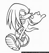 Echidna Coloring Knuckles Getcolorings Print sketch template
