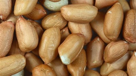 munching  peanuts   ward  foodborne illnesses