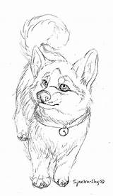 Husky Pup sketch template