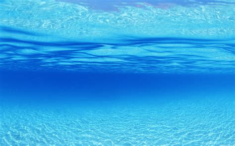 blue sea underwater wallpaper underwater wallpaper