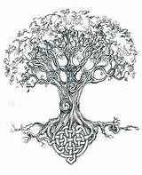 Celtic Tree Tattoo Tattoos Life Visit sketch template
