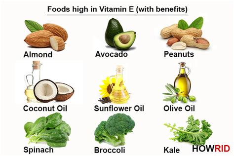 Foods High In Vitamin E With Benefits