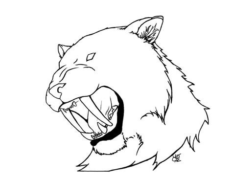saber tooth tiger drawing  getdrawings