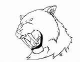 Tiger Tooth Saber Drawing Coloring Pages Getdrawings sketch template