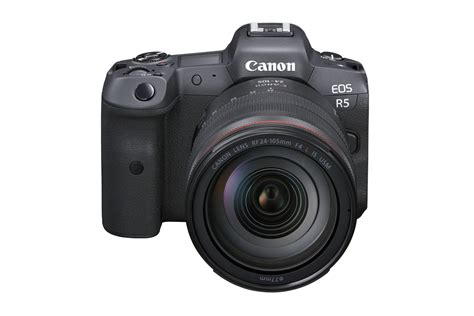 sale canon budget full frame camera  stock