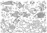 Aquarium Coloring Corals Anchor Octopus Underwater Fish Shells Stones Bottle Vector Illustration sketch template