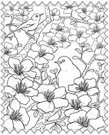 Coloring Blossom Cherry Pages Tree Japanese Flower Dover Designs Colouring Publications Drawing Printable Blossoms 3d Book Flowers Spring Lips Sheets sketch template