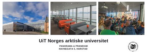 prandium uit norges arktiske universitet harstad festspillene  nord norge