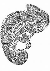 Coloring Pages Mandala Adults Animals Justcolor Adult Chameleon Animal sketch template
