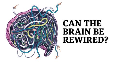 deconstructing neuroplasticity can you rewire the human brain the
