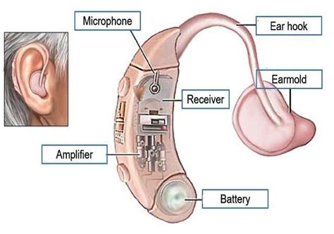 hearing aid ha   components