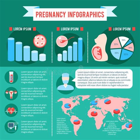 pregnancy infographics with healthy pregnant woman showing ok sign