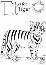 Tigre Preschool Letters Supercoloring Preschooler Coloringareas sketch template