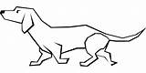 Dachshund Bassotto Cani Simpatici Cane Divertenti Mammal Disegnare Pluspng Webstockreview sketch template