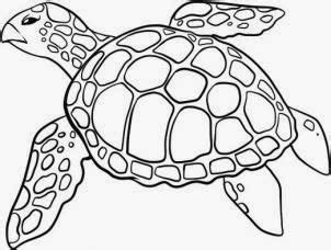 resultado de imagem  tartaruga marinha desenho turtle drawing