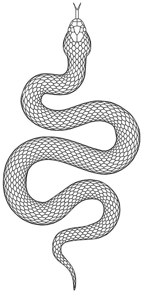 snake tattoo stencil snaketattoostencil snake tattoo snake