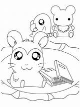 Hamtaro Coloriages Kleurplaten Kleurplaat Kitties Animaatjes Animes sketch template