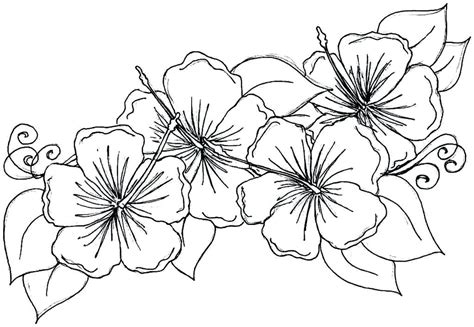tropical flowers drawing  getdrawings