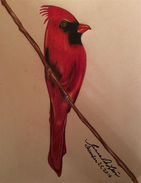 drawing   red bird sitting   branch