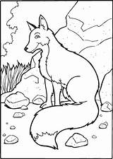 Fox Coloring Pages Printable Kids sketch template