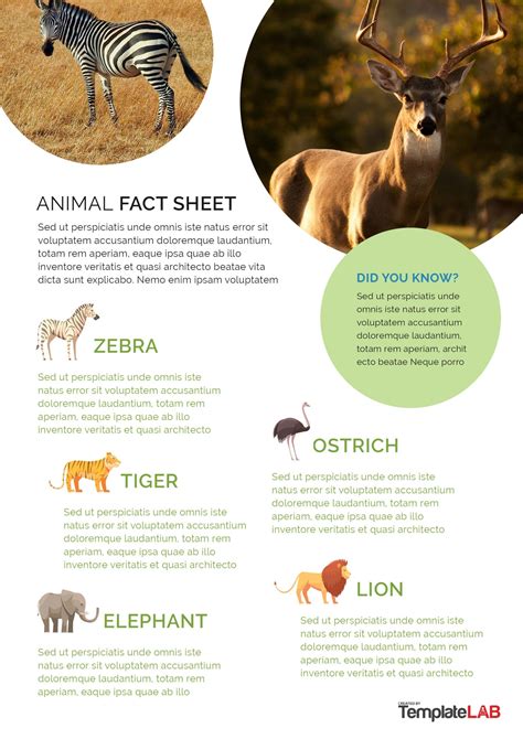 top  animal fact sheets printable lestwinsonlinecom