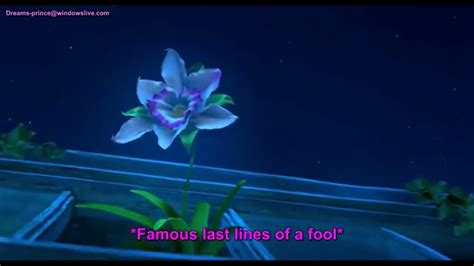 The Cupid’s Arrow Orchid From Gnomeo And Juliet Cupids