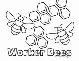 Honey Hive Natureinspiredlearning sketch template