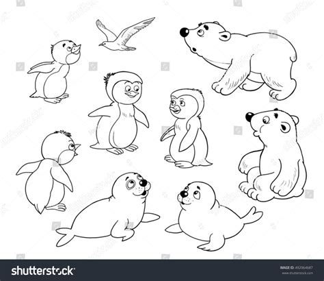 arctic animals coloring pages  getcoloringscom  printable