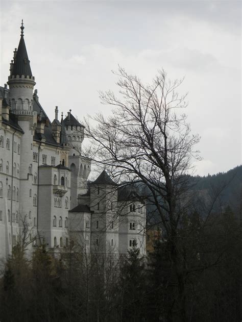 neuschwan castle germany germany castles beautiful castles
