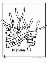 Flower Oklahoma State Coloring Pages Tree Kids Mexico Woojr Sheet Library Choose Board Comments sketch template